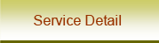 service detail